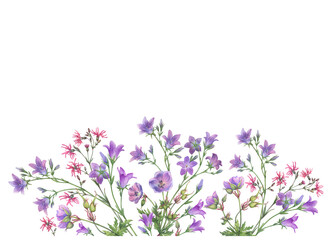 Fototapeta premium Postcard, template, frame with violet bluebell (Campanula patula, little bell, rapunzel), meadow geranium and pink ragged-robin wildflowers. Watercolor hand drawn painting illustration isolated