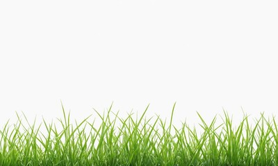Fototapeta premium Green grass blades isolated on white background