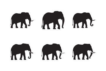 Set of elephant icon silhouettes. Elephant shadow. Flat vector illustration white background.