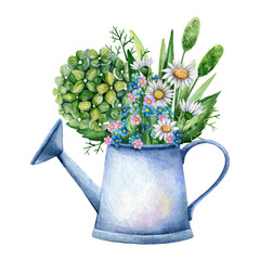 Summer watercolor illustration of hydrangea, chamomile and forget me not flowers in garden watering can. Floral composition is perfect for design of postcard, greeting card, poster, scrapbook, print © Art.Lantana