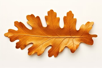 Fototapeta premium maple leaf on a white background