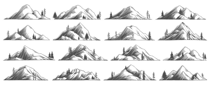 Hand drawn black and white mountain line art with pine or coniferous forest and christmas tree. Mountain silhouette pattern for travel business. Vintage forest camping symbol, summer hiking background - Powered by Adobe