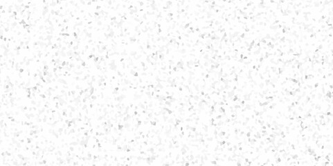 Fototapeta premium Terrazzo flooring consists of chips of marble texture. quartz surface white, black for bathroom or kitchen countertop. white paper texture background. rock stone marble backdrop textured illustration.