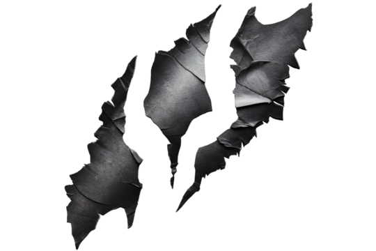 Pieces of torn black paper in animal claw shape PNG with white transparent background for creative design projects and unique art concepts
