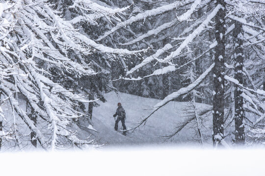 Mountaineer enjoying skiing in the snowy alpine woods in winter