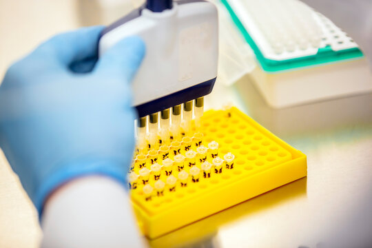 Quality control test lab equipment