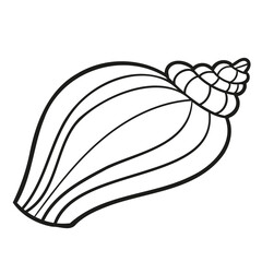 Hand drawn outline seashell