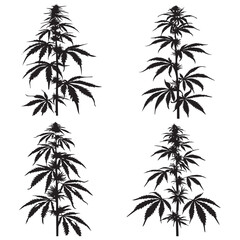 Creative Black Weed Vector Silhouette Art,
Modern Black Weed Vector Silhouette Illustration