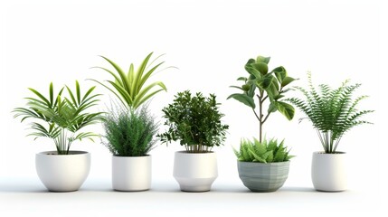 Obraz premium Assortment of potted green plants isolated on white. Modern, minimalist design elements. 3D vector illustration.