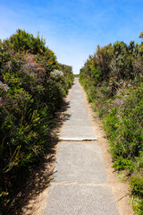 Bruny Cape, Lighthouse, Island, Tasmania Wilderness, Australia 