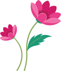 Adorable Anemone blooms with delicate petals and charming design. 