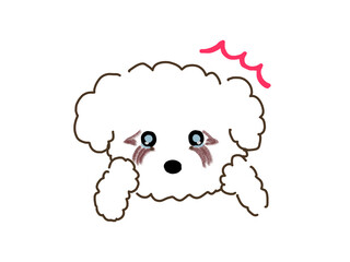 涙やけしている犬