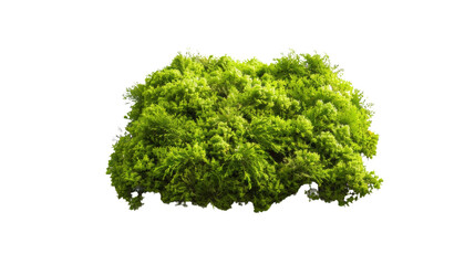 Obraz premium Moss, low poly, game asset, low polygonal geometric