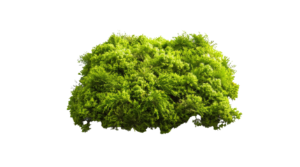 Moss, low poly, game asset, low polygonal geometric