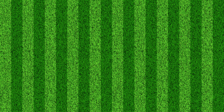 Soccer grass field top view. Green pitch. Sport stadium for baseball or football. Realistic turf texture background. Place for sport match, competition, championship. Vector illustration.