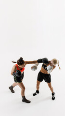 Vertical top view image of two competitive women, boxing athletes competing fiercely in a boxing match isolated on white background. Concept of combat sport, martial arts, strength, endurance