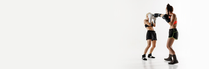 Concept of combat sport, martial arts, strength, endurance. Banner. Copy space for ad