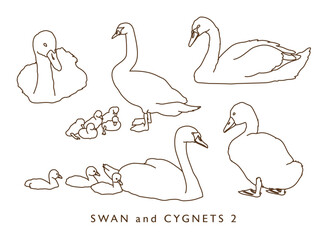 Cygnets Illustration Collection 2 - Outline Version	

