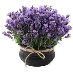 Lavender flowers in a black pot wrapped with twine, perfect for home decor and gardening enthusiasts. Clean white background.