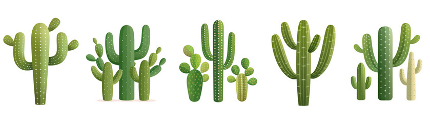 A row of cacti with different shapes and sizes