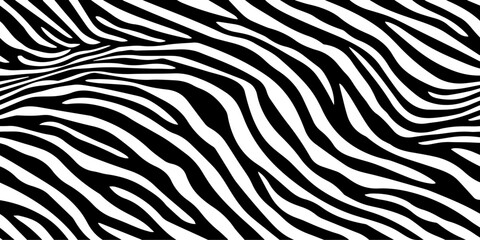 Background with zebra stripes. Horizontal banner with stylish bold curved lines. Black and white wallpaper. Vector illustration