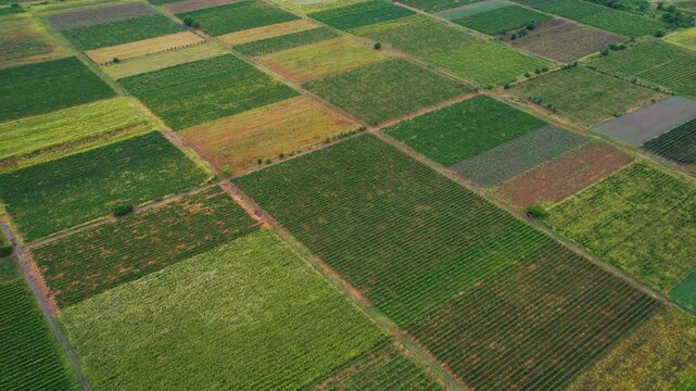 4K: Drone capturing the lush green fields of the eastern region of Georgia