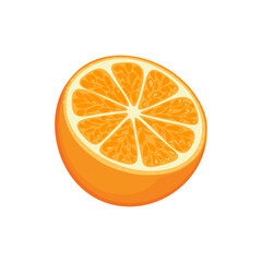 Orange fruit cut in half isolated on white background. Vector cartoon flat illustration of citrus fruit. Food icon.