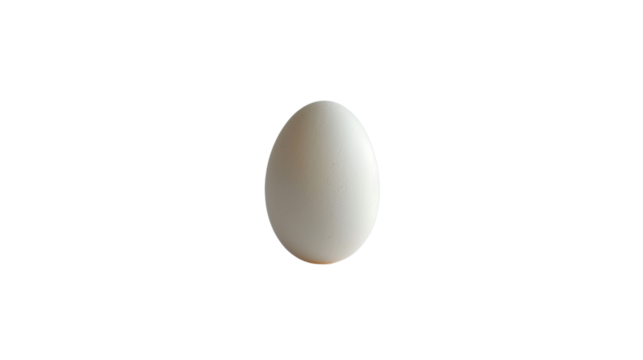 Boiled egg in a shell