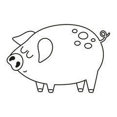 outline pig isolated