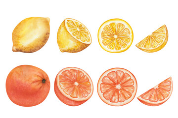 Obraz premium Fruit set. Watercolor illustrations. Hand painted yellow lemon, orange, grapefruit, tangerine. Citrus plants. Whole, round, cut in half, sliced fruits. Isolated food clip art