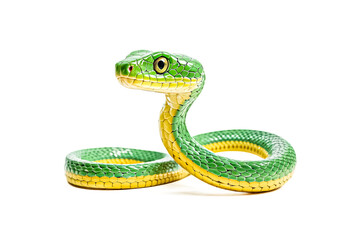 Fototapeta premium Green Snake with Yellow Stripe on White Background