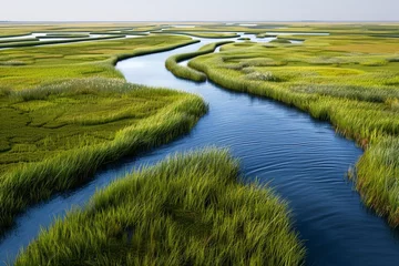 Fototapete Rund A winding river flows through a lush green marsh, with tall grasses lining the banks. © sceneperfect