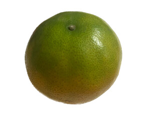 orange fruit isolated on white, Thai golden green orange Tangerine isolation as water color style, som keaw whan
