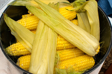 Closeup view of a boiled corn on the cob	