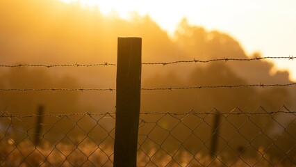 Cerco de madera y alambres de púa iluminados por el sol de un atardecer con tonalidades anaranjadas