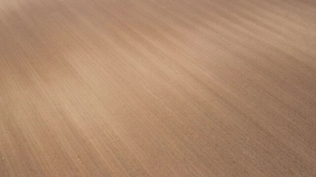 Aerial hyper lapse footage of corn crop plantation in four different vegetative stages from drone pov