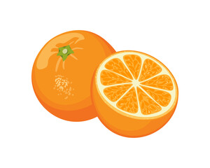Orange fruit whole and half isolated on white. Vector cartoon illustration of fresh citrus.