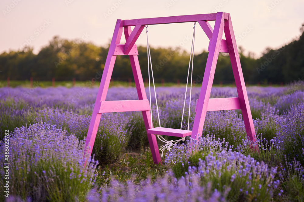 Wall mural swing in a lavender field