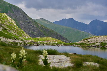 Glacial lake in the mountains
