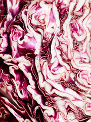 Cut of red cabbage close up shot background