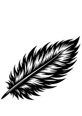 Feathers SVG, Bird SVG, Flying SVG, Wings SVG, Eagle Feather SVG, Peacock Feather SVG, Feathers Silhouette, Feathers Vector, Clipart, Cut file for Cricut SVG, JPG, PNG