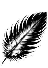 Feathers SVG, Bird SVG, Flying SVG, Wings SVG, Eagle Feather SVG, Peacock Feather SVG, Feathers Silhouette, Feathers Vector, Clipart, Cut file for Cricut SVG, JPG, PNG
