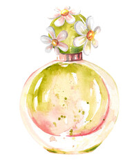 Watercolor glass perfume bottle with daisy flowers on green cap. Hand drawing fashion illustration