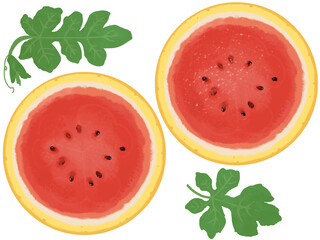 黄色い外皮のスイカの輪切り