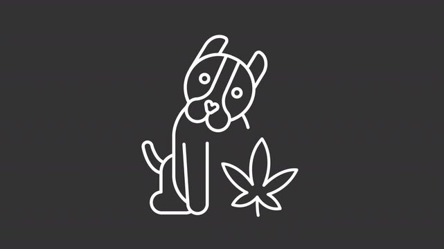 CBD pet white line animation. Medical cannabis animated icon. Shaking animal head, moving. Floating weed leaf. Isolated illustration on dark background. Transition alpha video. Motion graphic