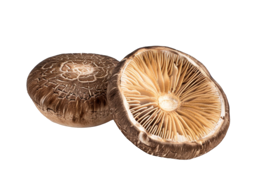 Pile of Shiitake Mushroom with half slice isolated on background, fungi with high nutrients and protein.