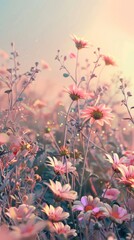 Flower meadow dreamy wallpaper asteraceae vegetation landscape.