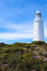 Bruny Cape, Lighthouse, Island, Tasmania Wilderness, Australia 