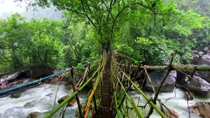 Single Living roots bridge in nongriat village in cherrapunjee meghalaya India. This bridge is formed by training tree roots over years to knit together.