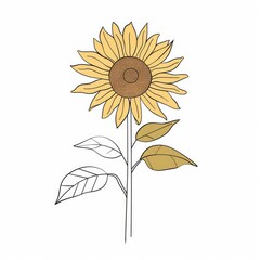 Fototapeta premium A minimalist contour drawing of a sunflower, with a vector illustration in flat style